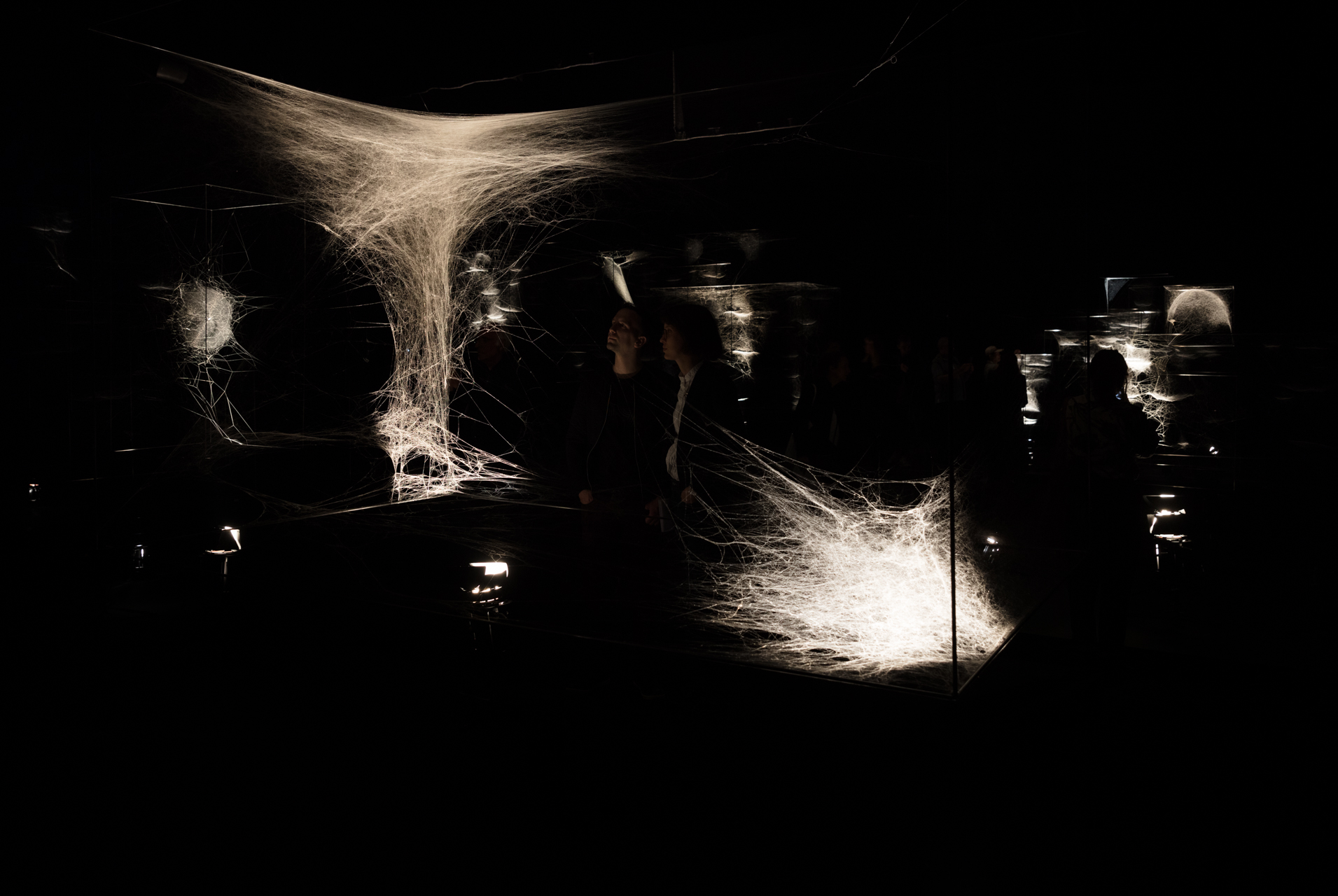 Webs of At-tent(s)ion