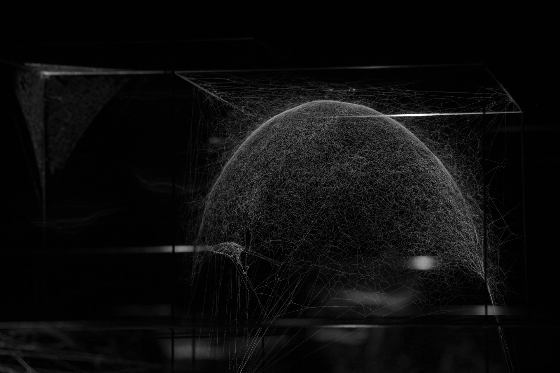 Webs of At-tent(s)ion, 2018. Installation view at ON AIR, carte blanche exhibition to Tomás Saraceno, Palais de Tokyo, Paris, 2018. Courtesy of the artist and neugerriemschneider (Berlin).