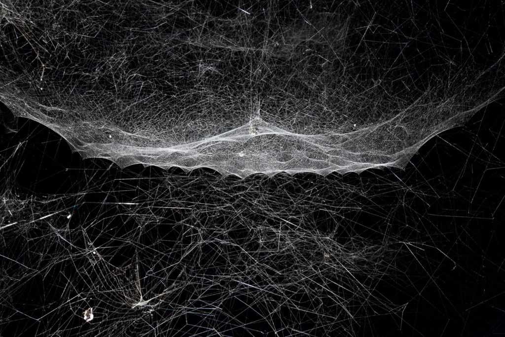 Hybrid Webs