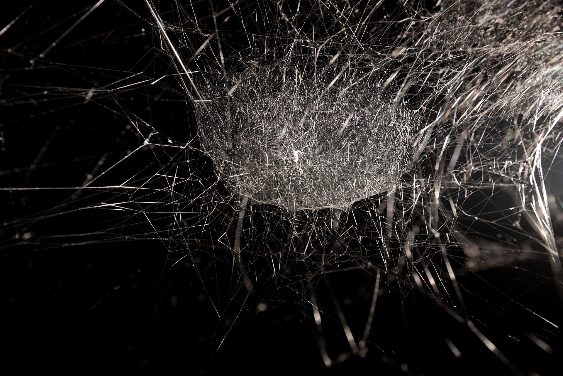 Photography by Nuvola Ravera, © 2014