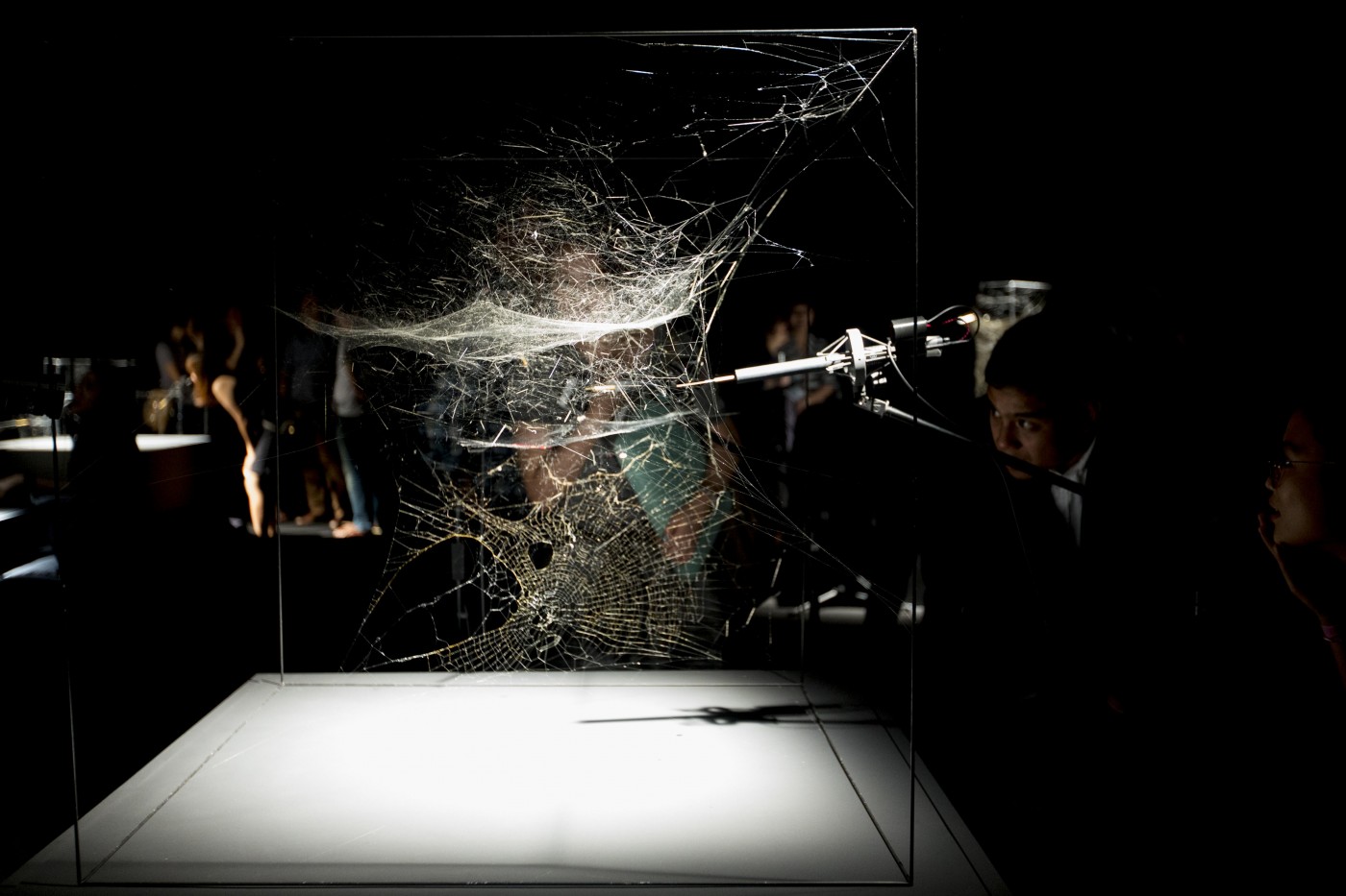 Arachnid Orchestra. Jam Sessions