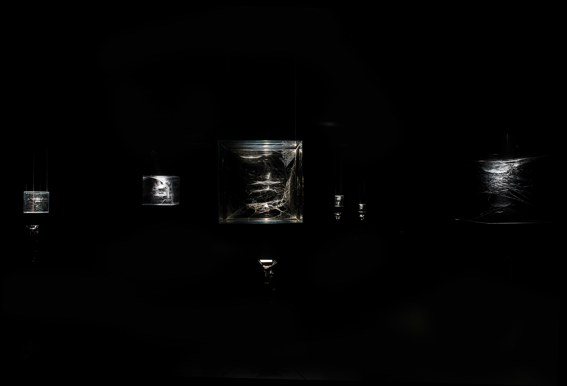 Hybrid solitary… semi-social quintet… on cosmic webs…