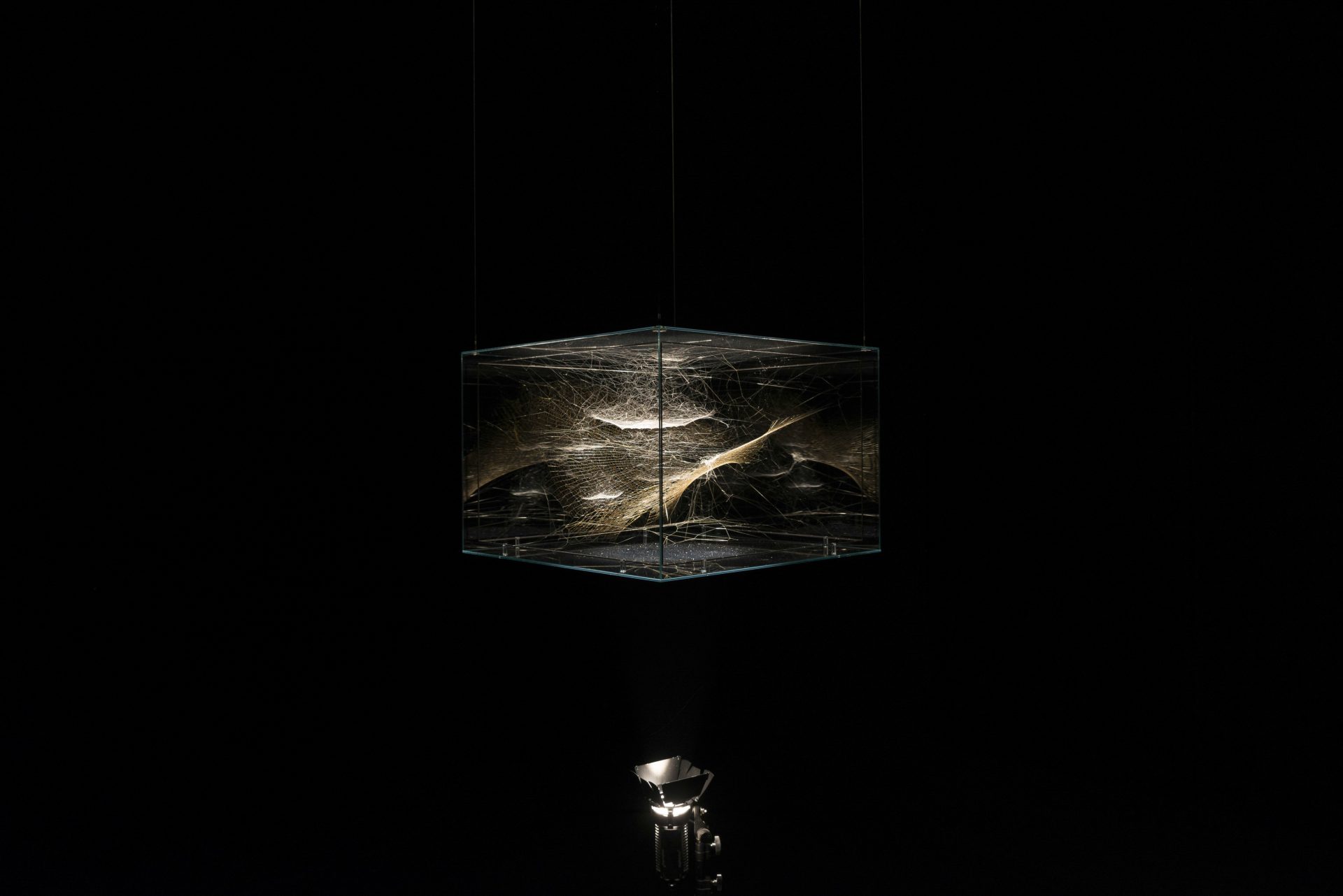 Entangled Orbits