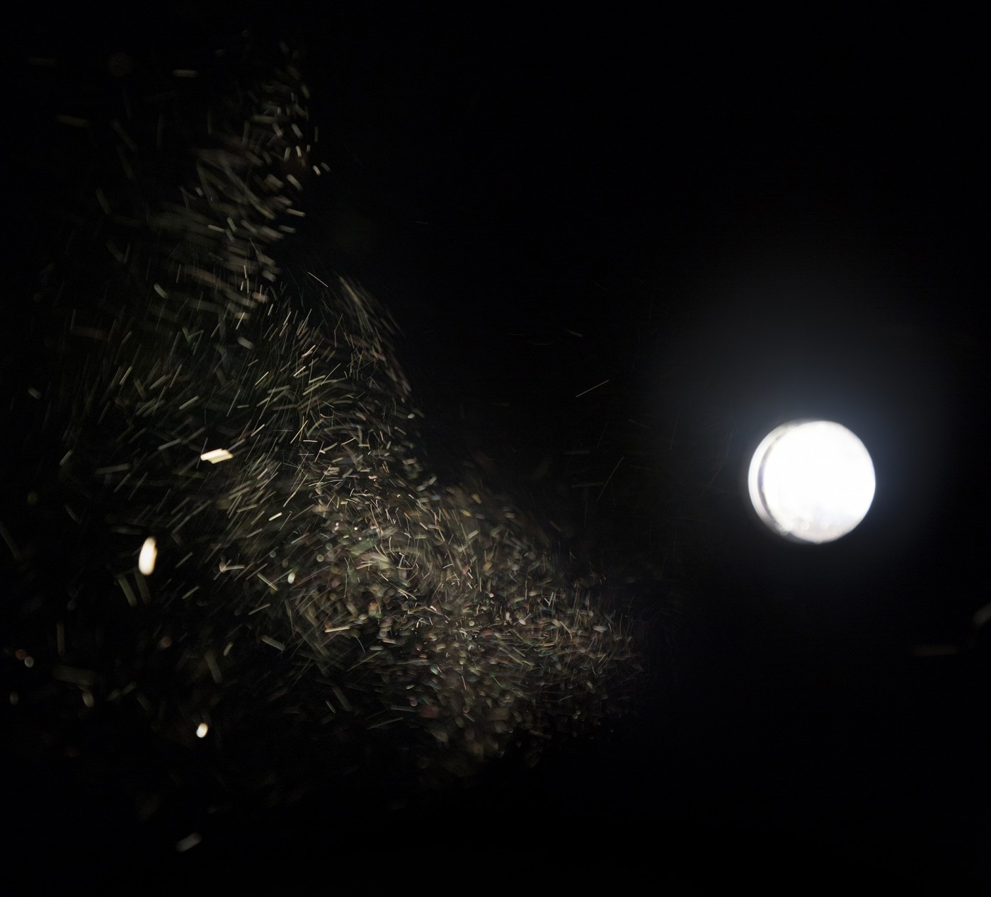How to Entangle the Universe in a Spider Web