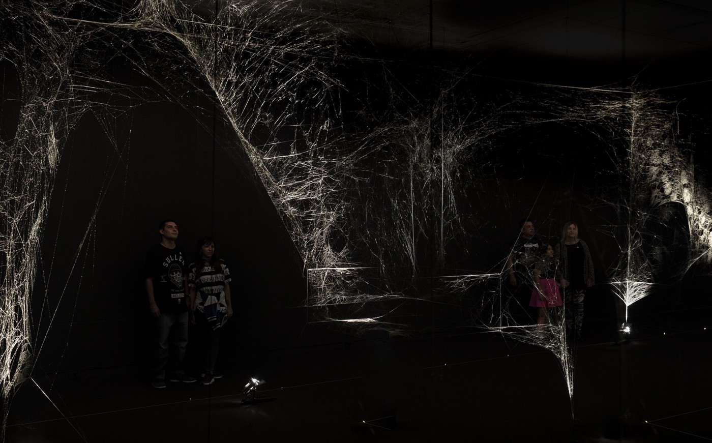How to Entangle the Universe in a Spider Web
