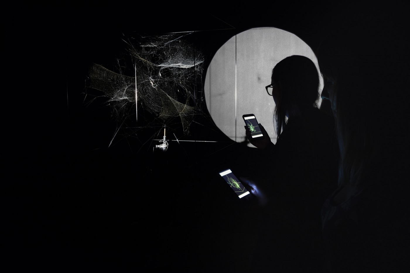 How to Entangle the Universe in a Spider Web
