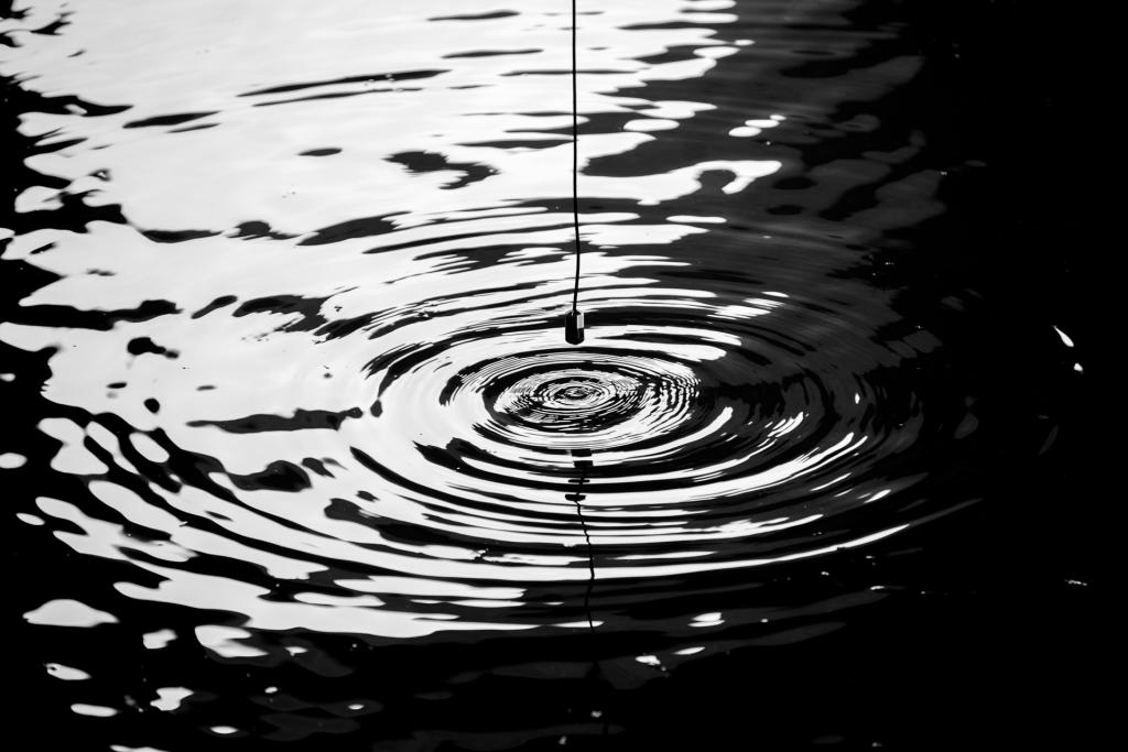 Acqua Alta: en Clave de Sol