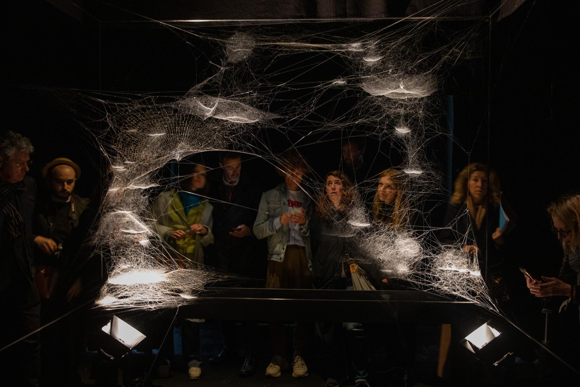 Spider/Web Pavilion 7