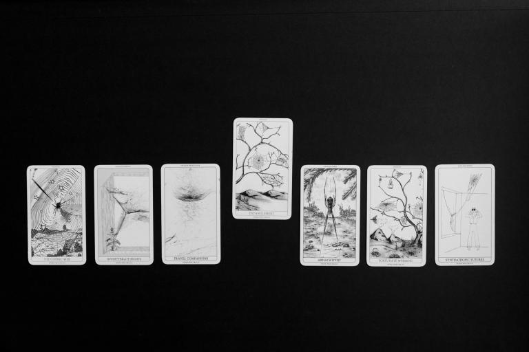 Arachnomancy Cards