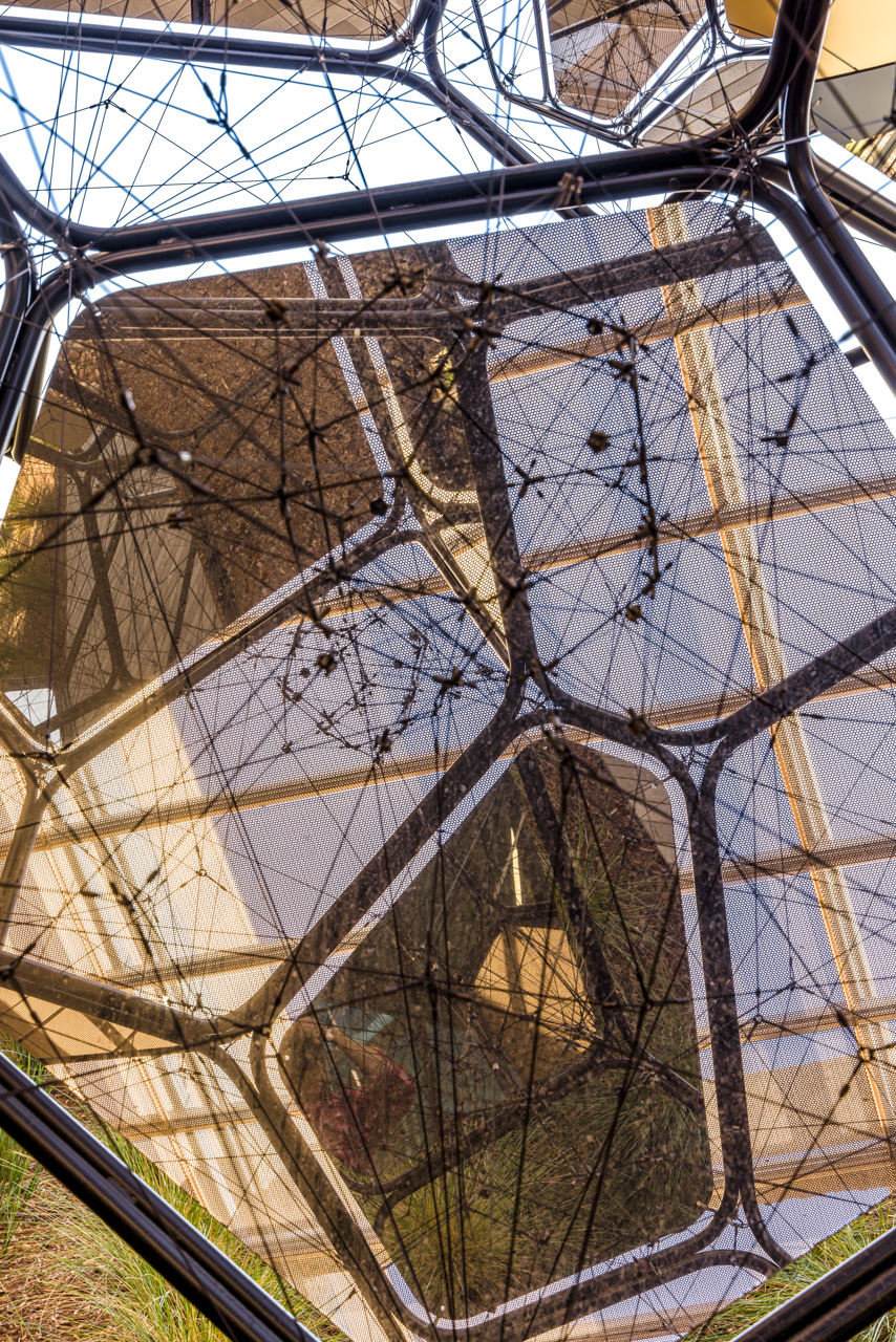 Spatial Echoes of Breath