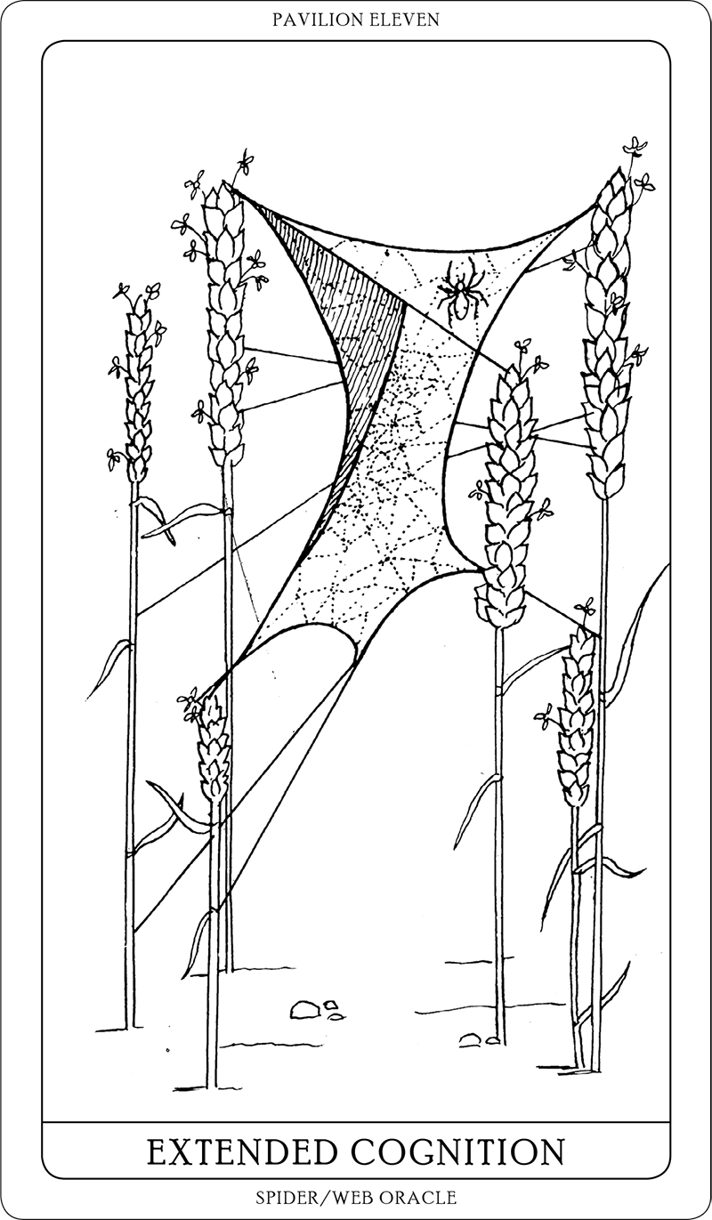 Spider/Web Pavilion 7