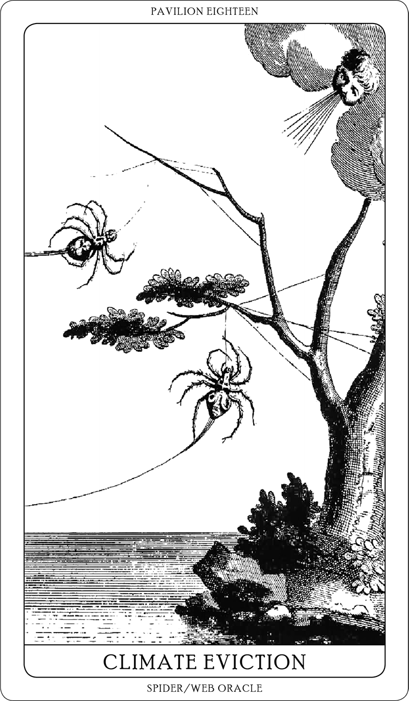 Spider/Web Pavilion 7