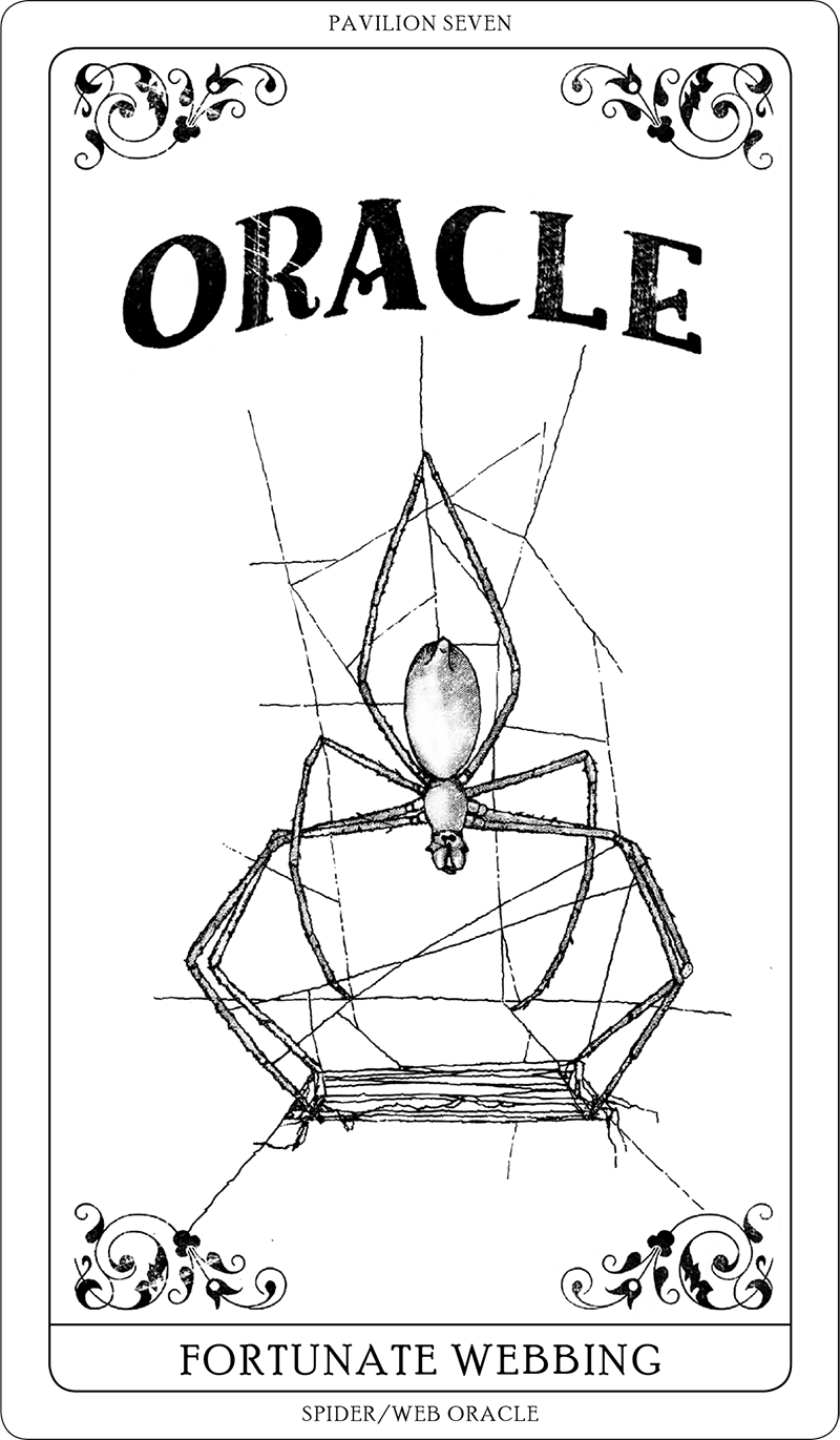 Spider/Web Pavilion 7