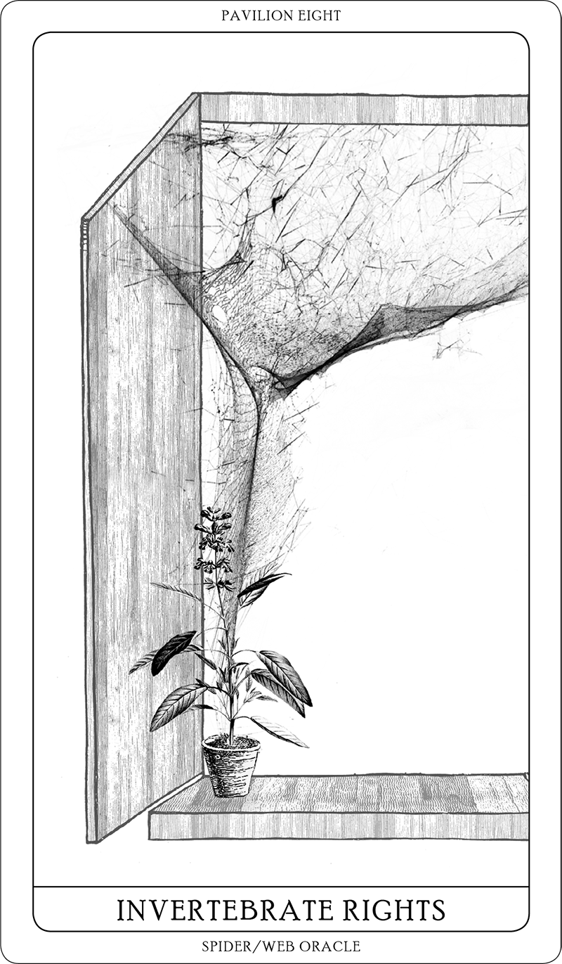 Spider/Web Pavilion 7