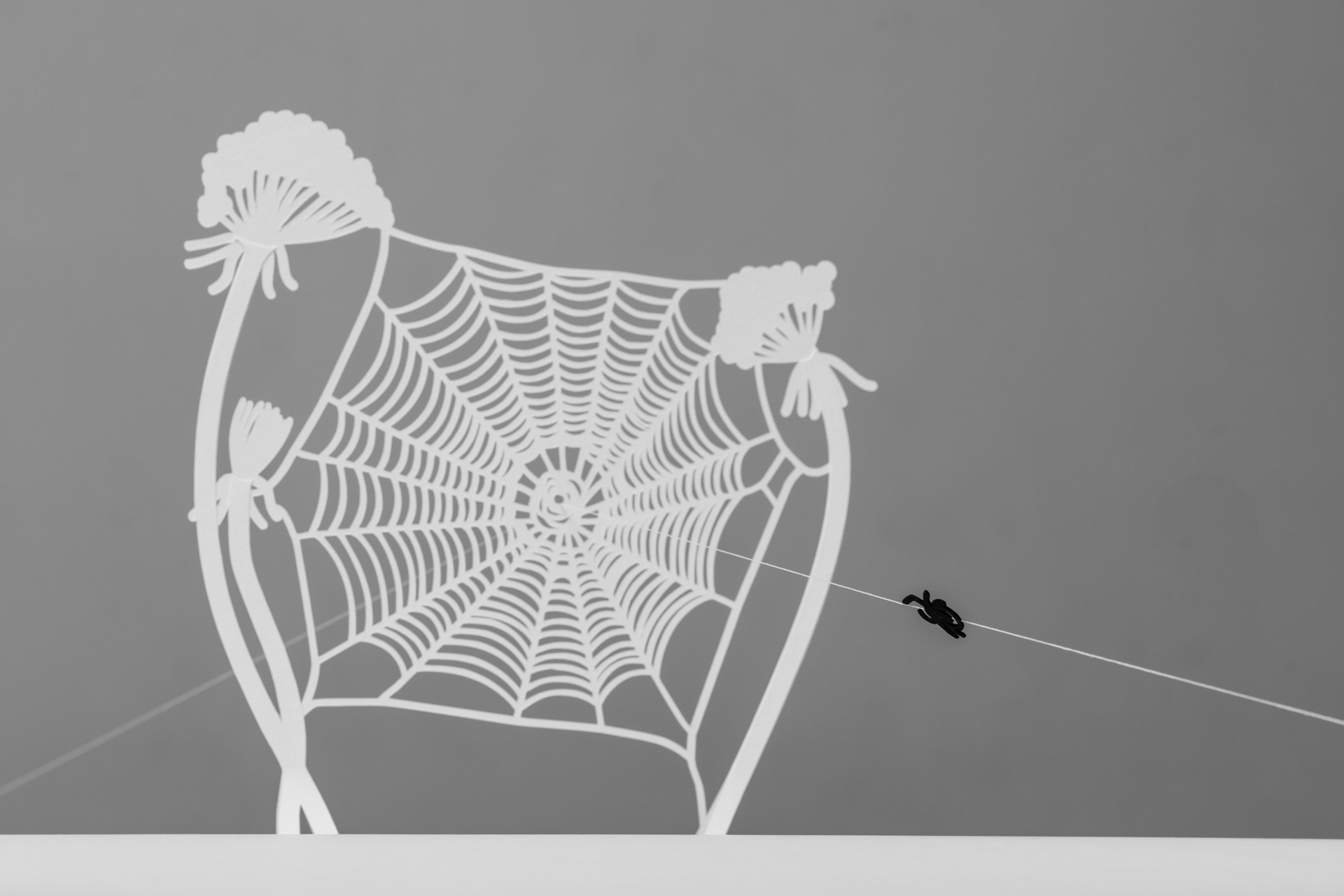 From Arachnophobia to Arachnophilia