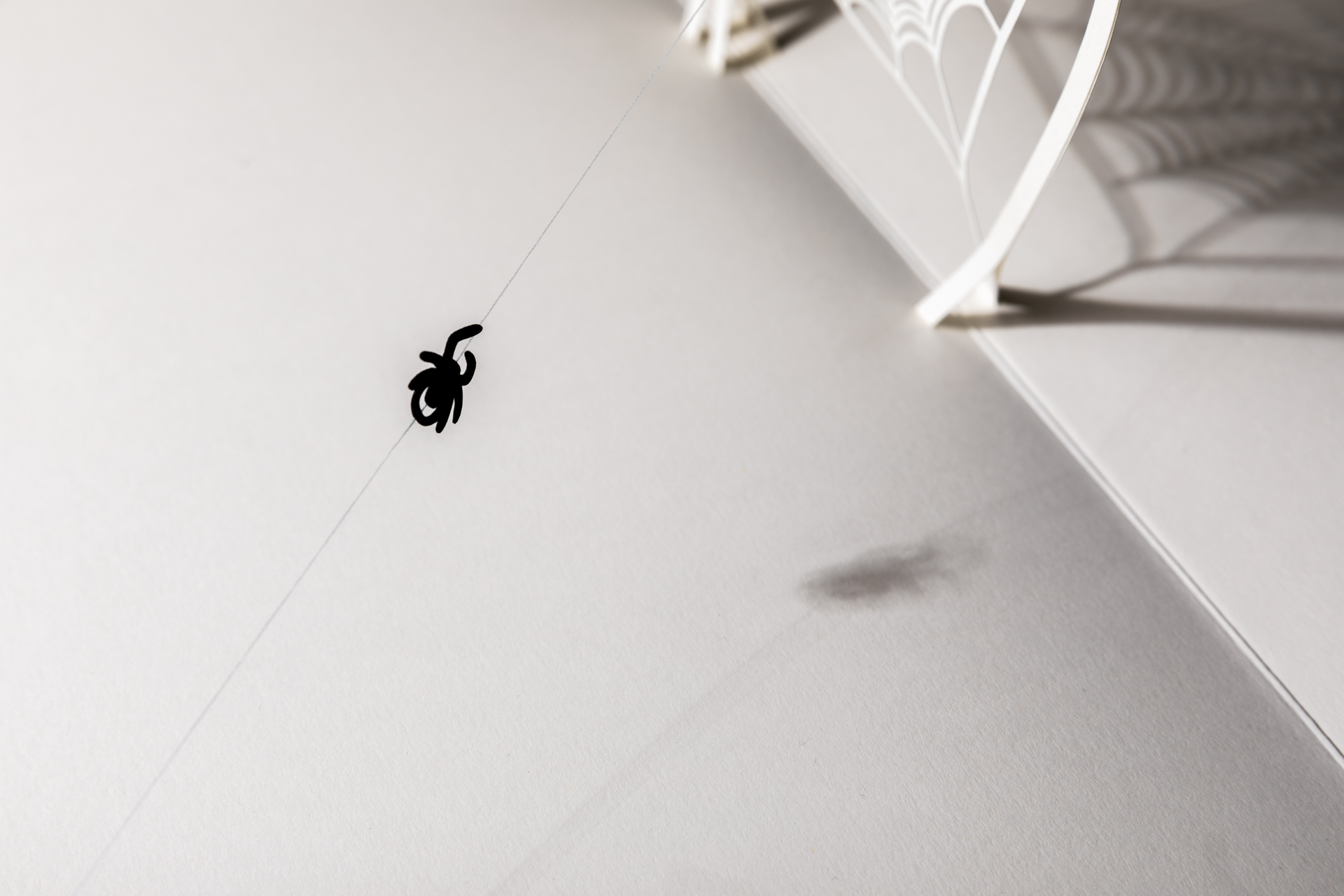 From Arachnophobia to Arachnophilia
