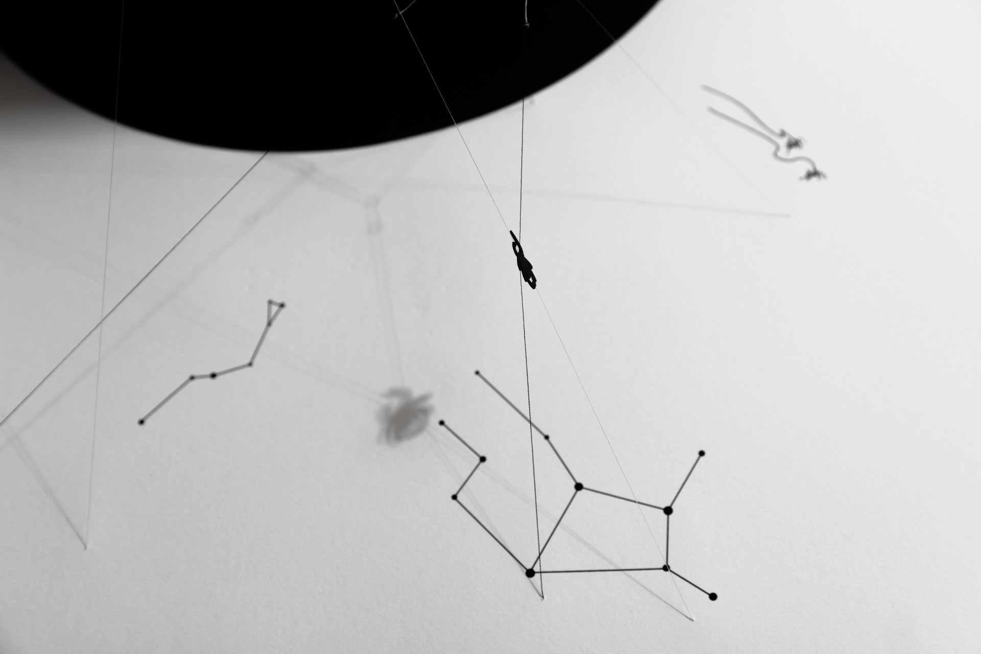 From Arachnophobia to Arachnophilia