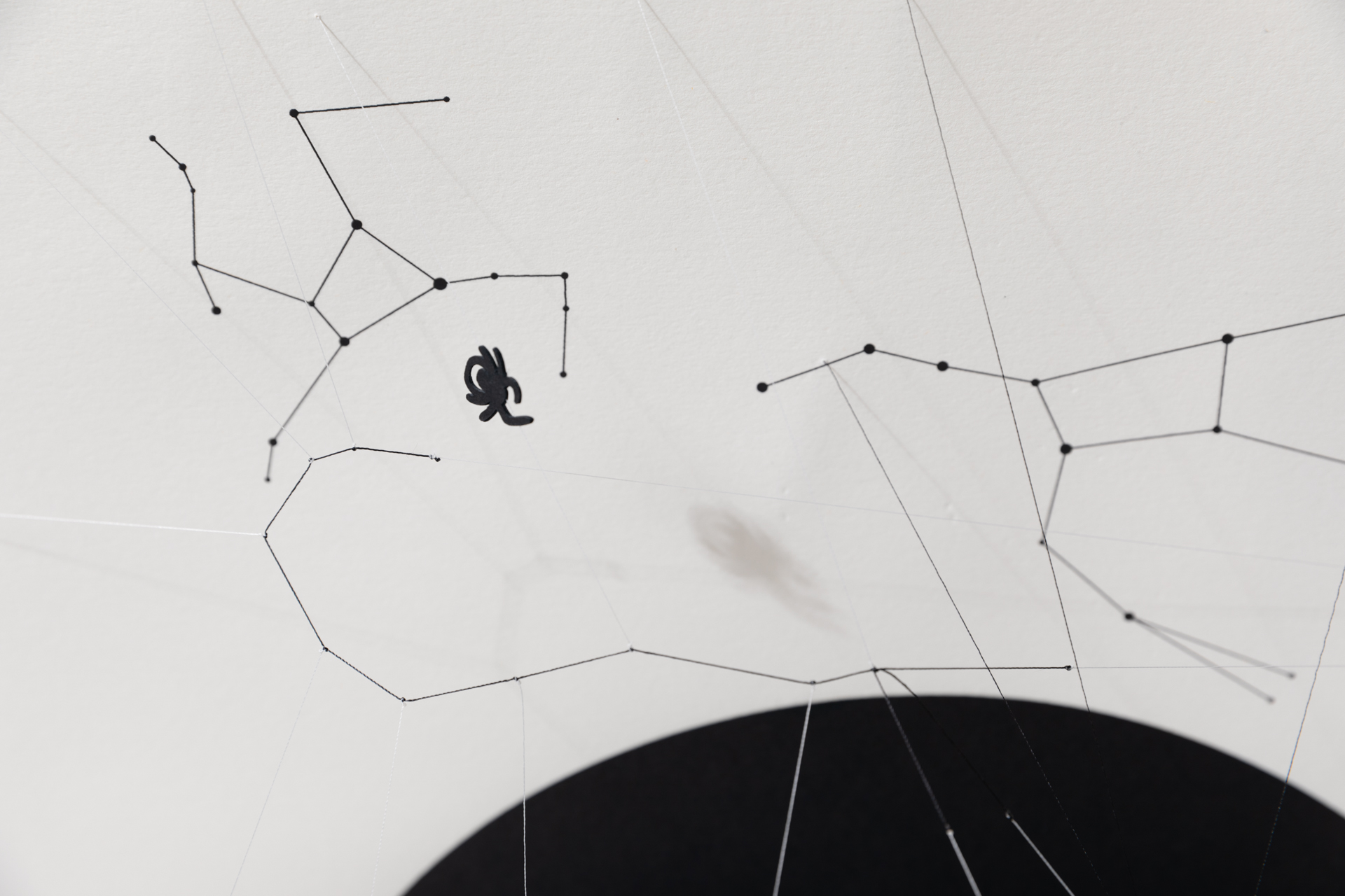 From Arachnophobia to Arachnophilia