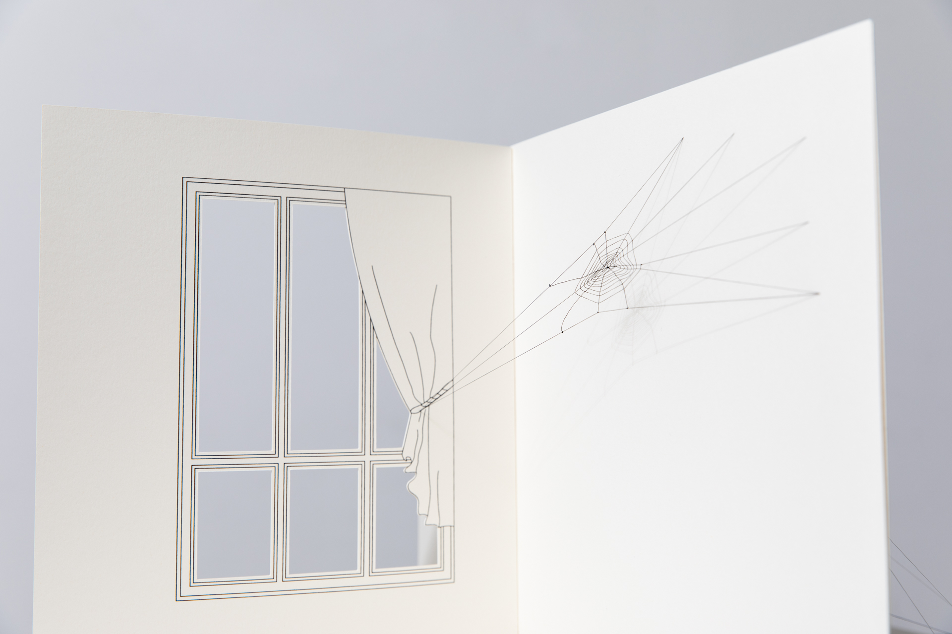 From Arachnophobia to Arachnophilia