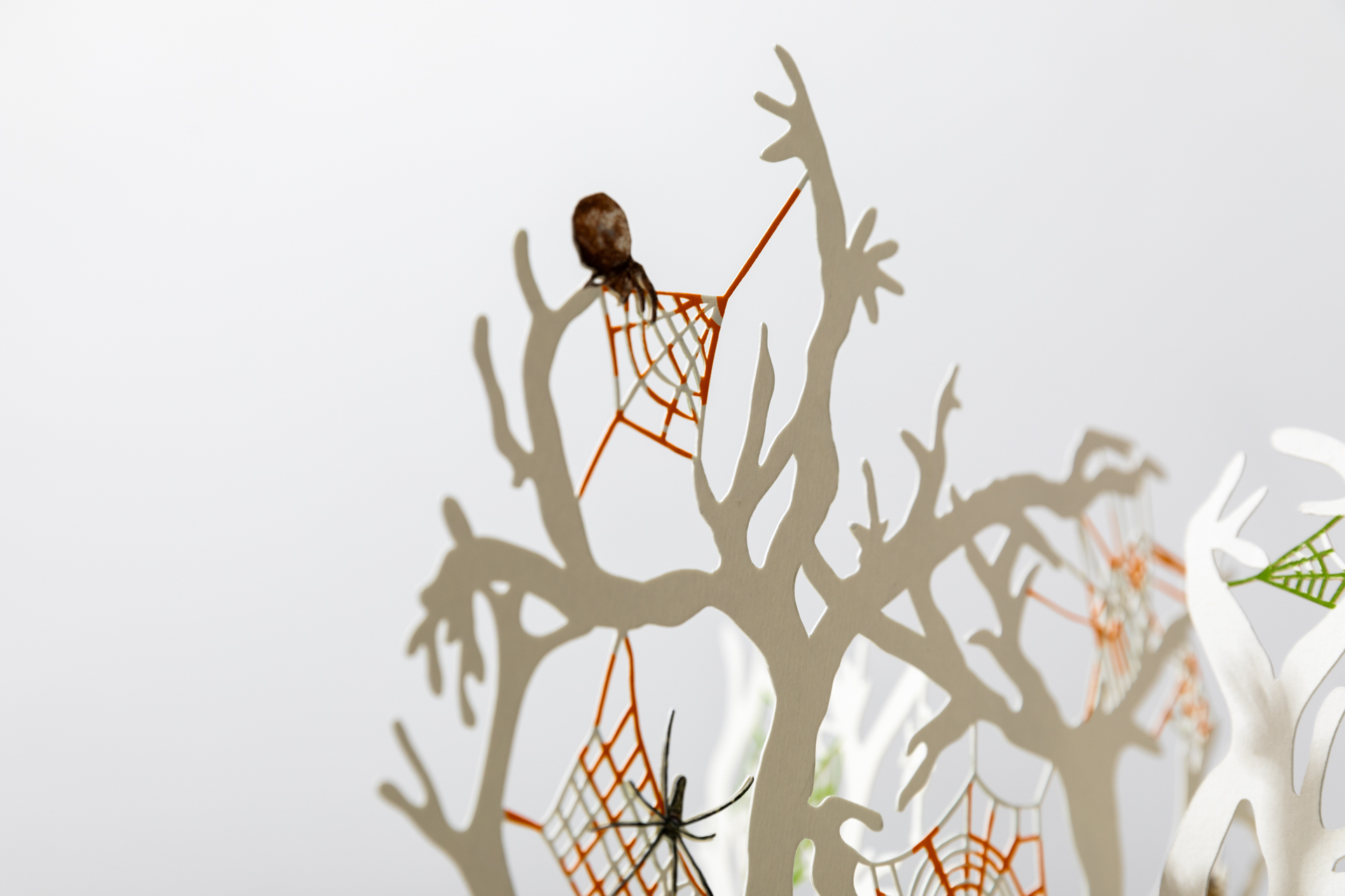 From Arachnophobia to Arachnophilia