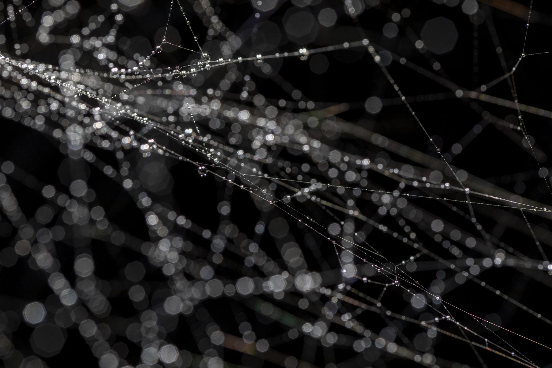 Particular Matter(s)