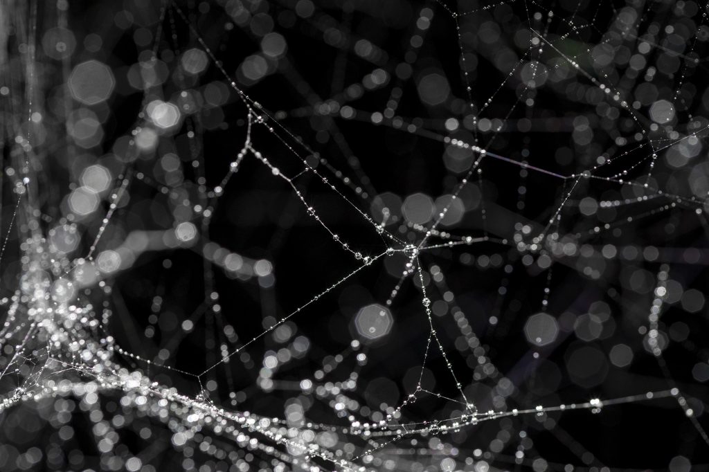 The Art of Noticing – Louisiana Channel Interviews Tomás Saraceno