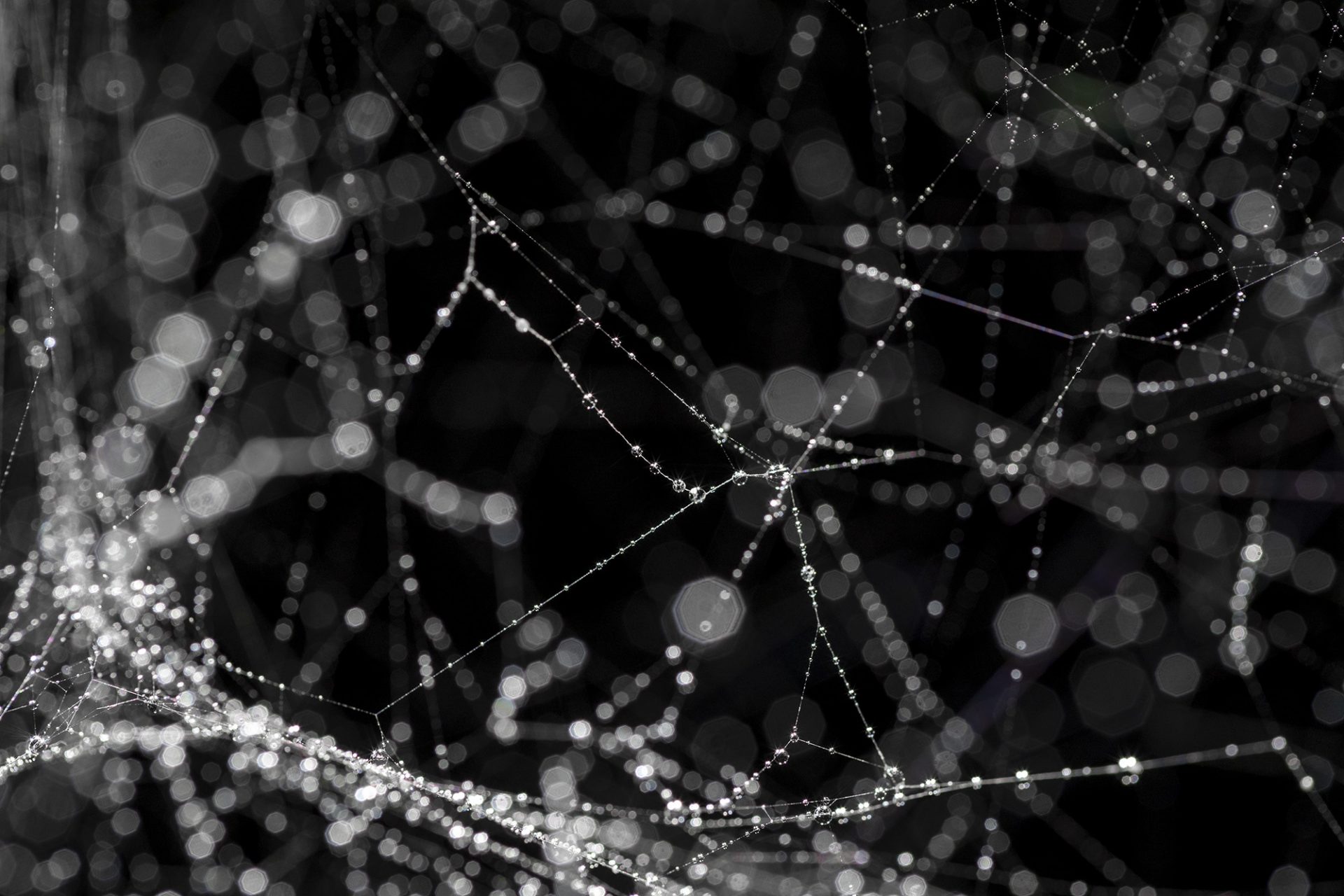 The Art of Noticing – Louisiana Channel Interviews Tomás Saraceno