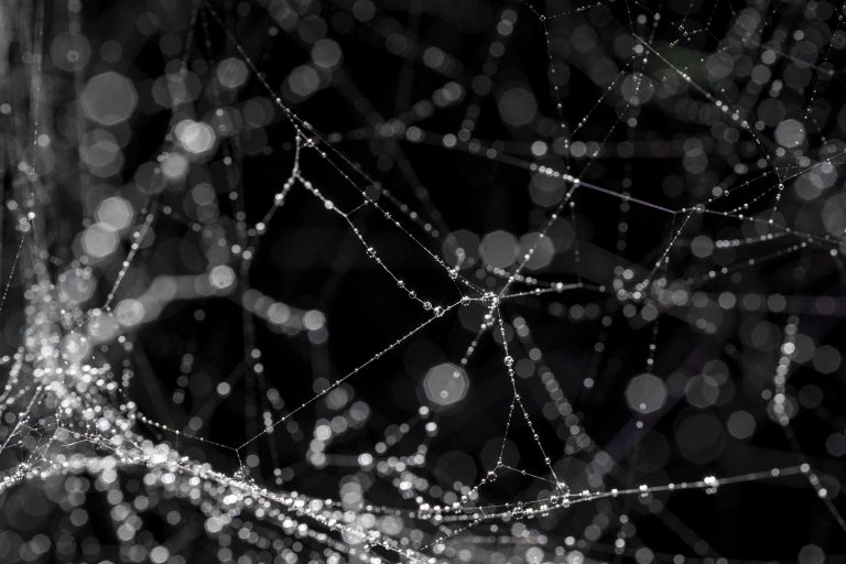 The Art of Noticing – Louisiana Channel Interviews Tomás Saraceno