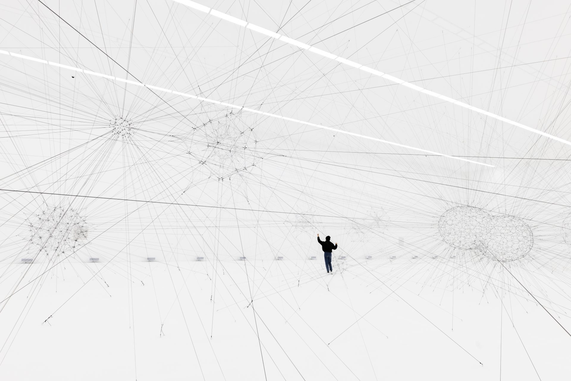 Complementarities
