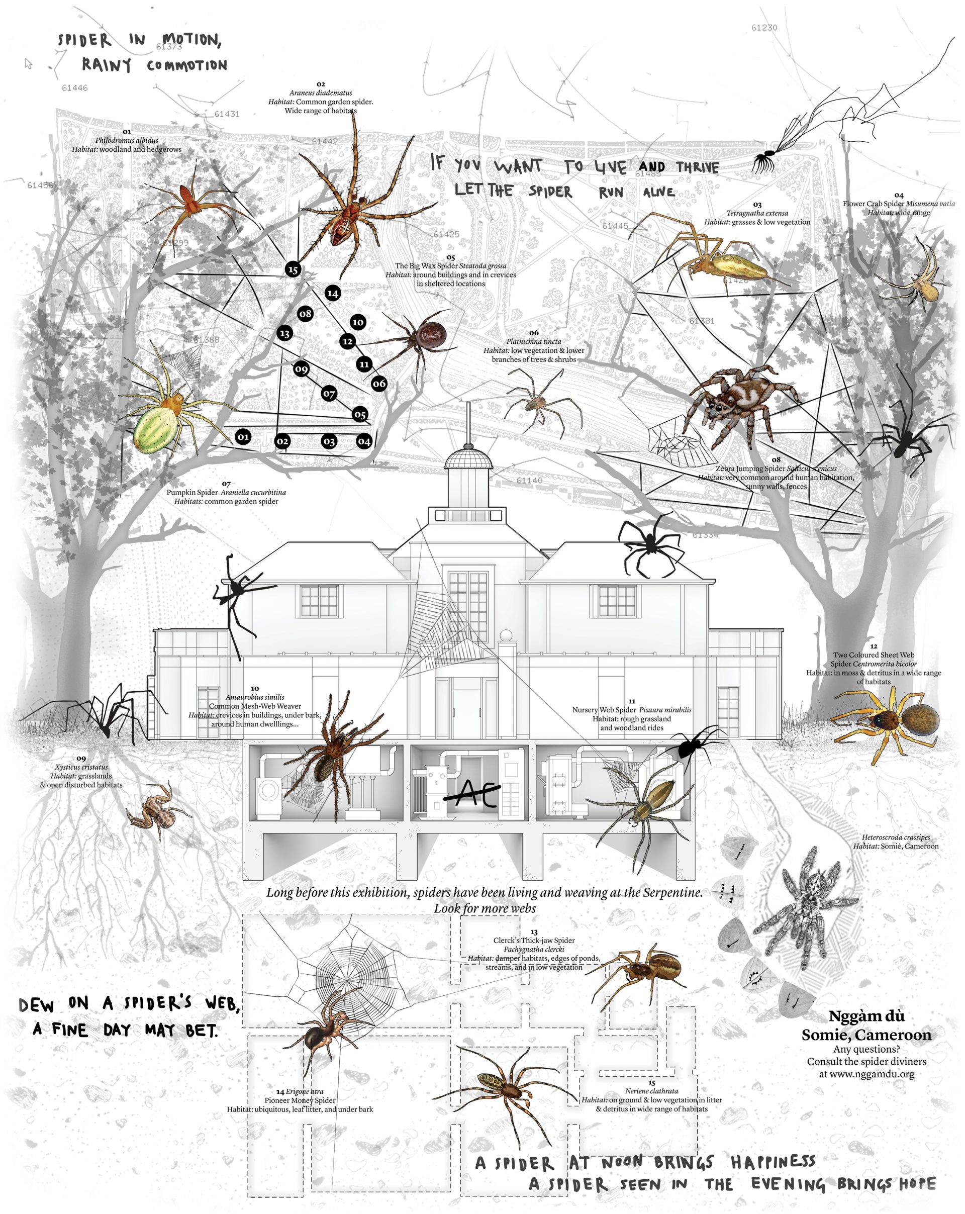 Tomás Saraceno in collaboration: Web(s) of Life