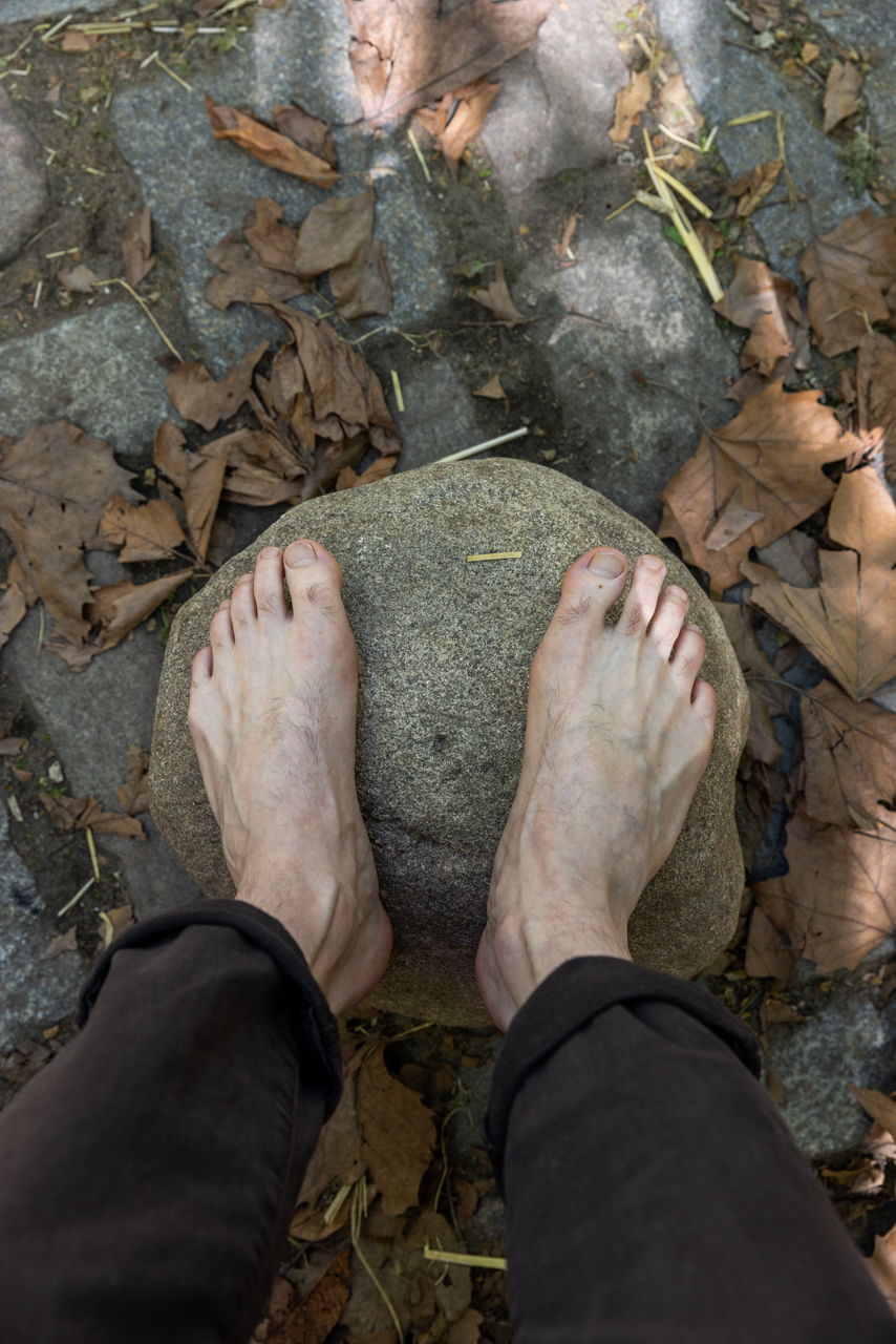 Play-Ground: Spider/web vibration, divination… for the terrestrial and cosmic web(s) of life