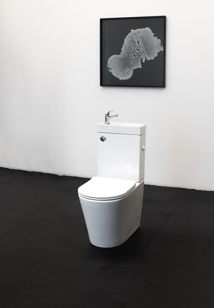 Flashing Toilets