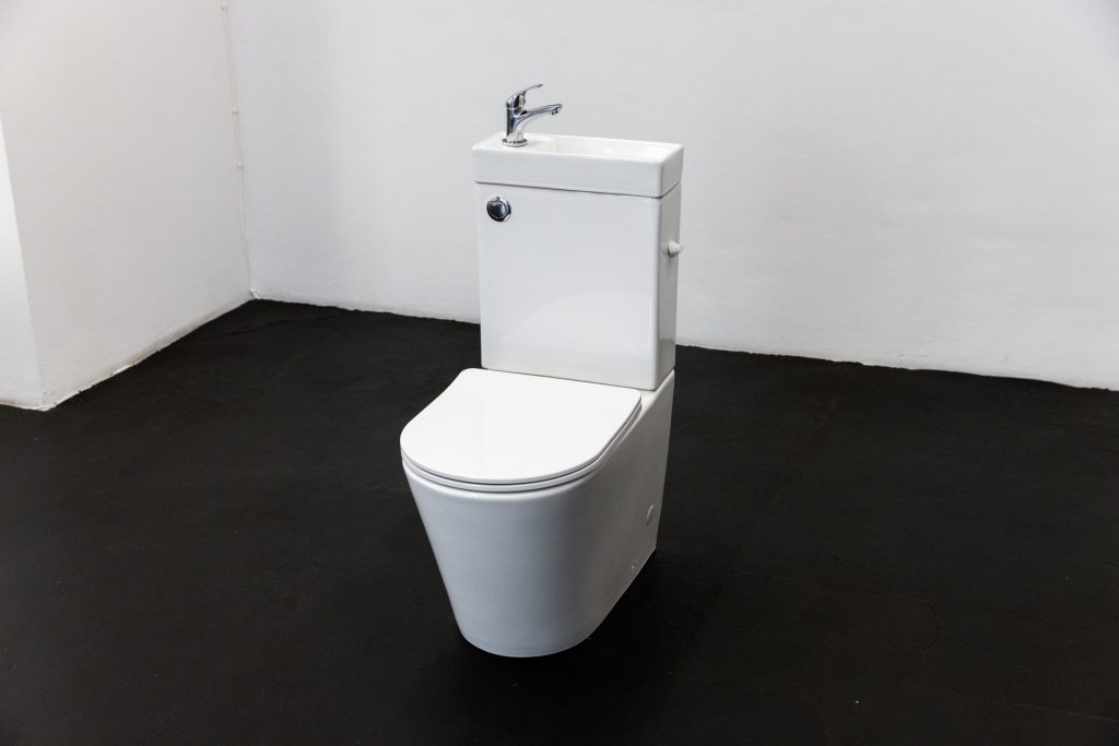 Flashing Toilets