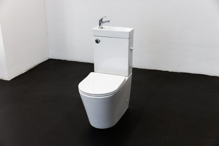 Flashing Toilets