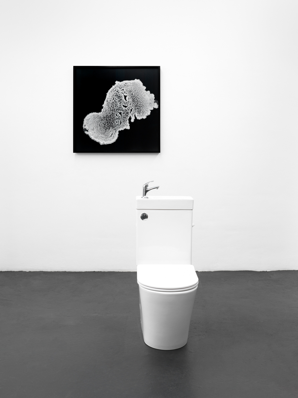 Flashing Toilets