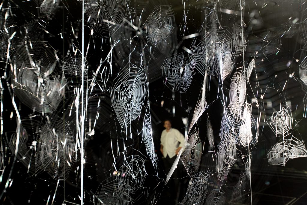 How to Entangle the Universe in a Spider Web