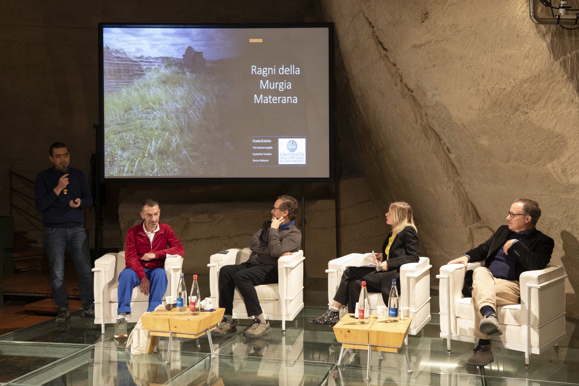 Life(s) of Webs, Panel Discussion and Film Screening