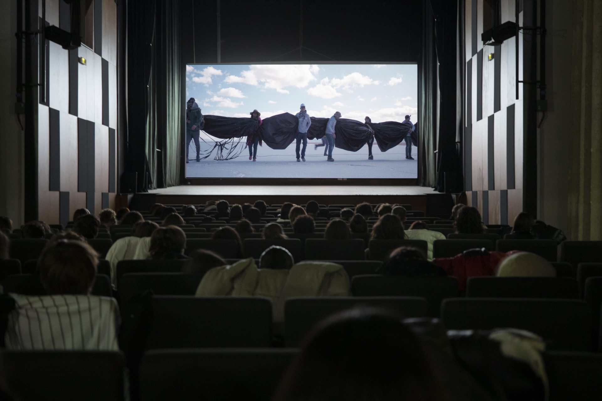 Life(s) of Webs, Panel Discussion and Film Screening