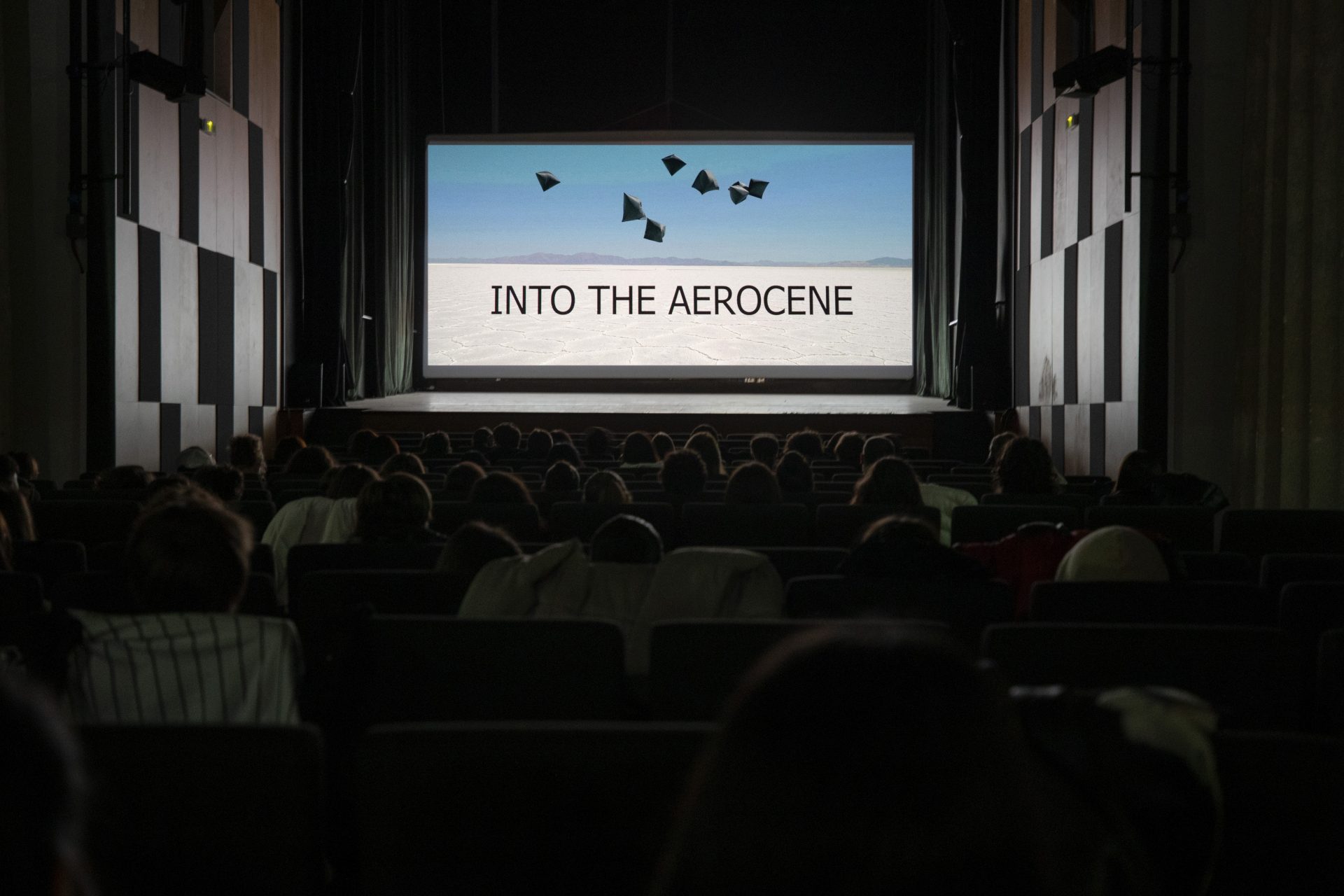 Life(s) of Webs, Panel Discussion and Film Screening