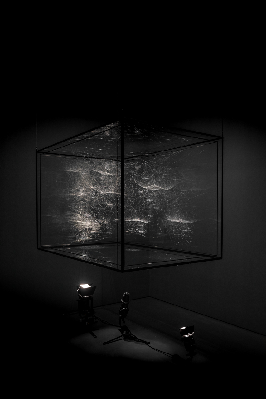 Tomás Saraceno, Algo-r(h)i(y)thms, Solo Show, Esther Schipper, Berlin, Germany, 2019. © Photography by Studio Tomás Saraceno, 2019