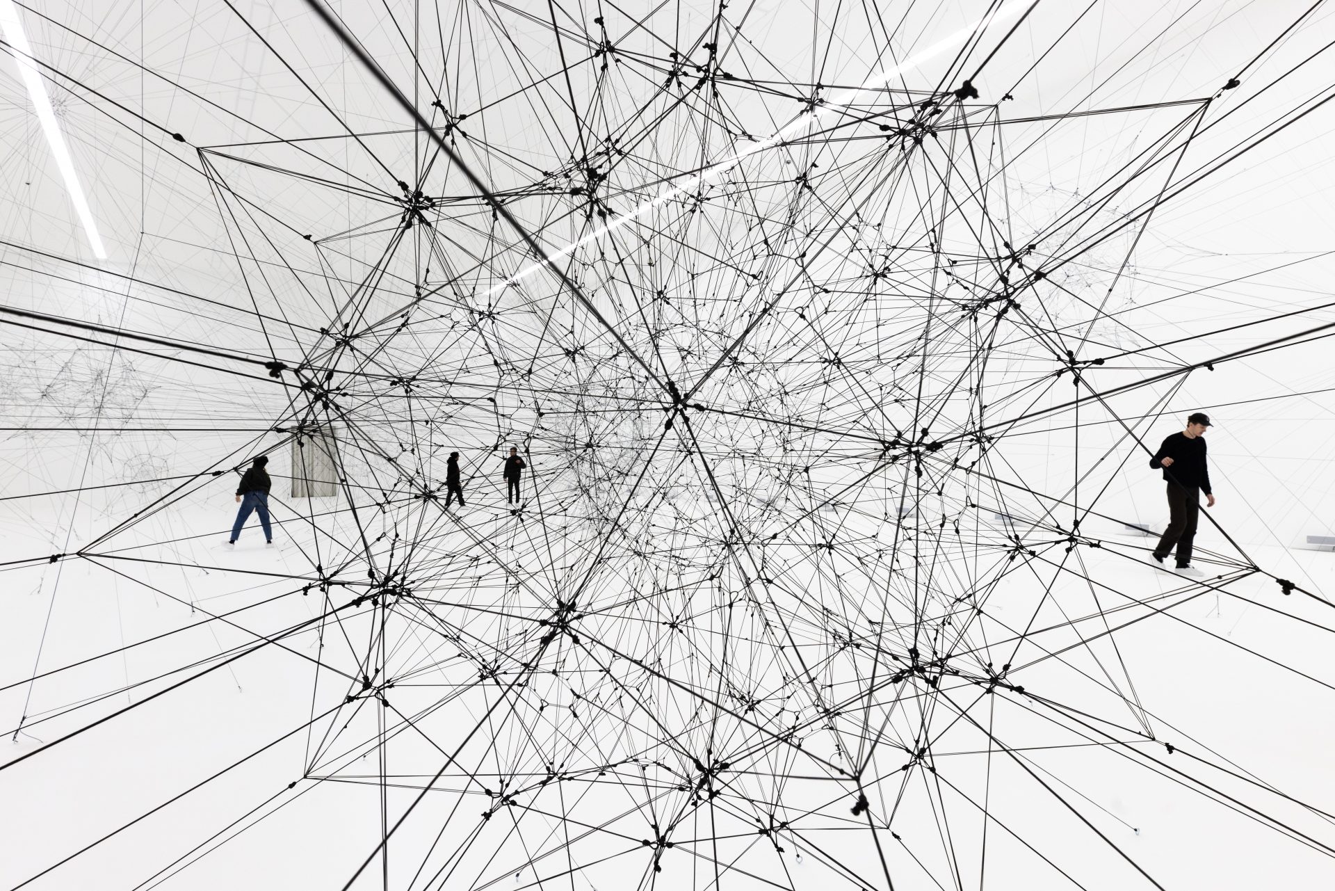 Complementarities