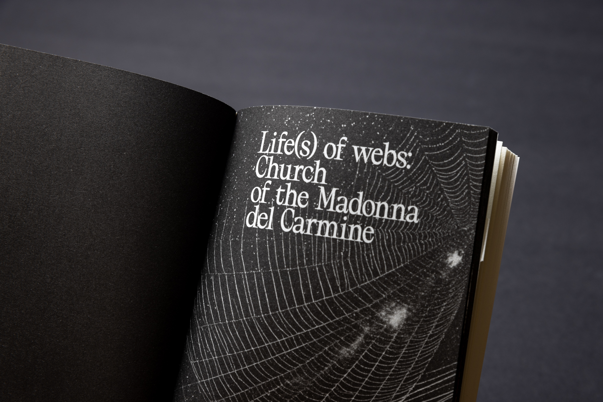 Life(s) of webs, arachnophobias, arachnophilias, and other stories