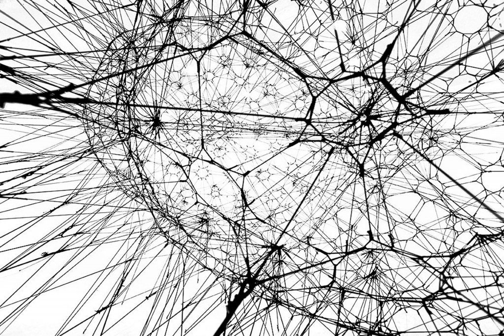Galaxies Forming along Filaments, like Droplets along the Strands of a Spider’s Web