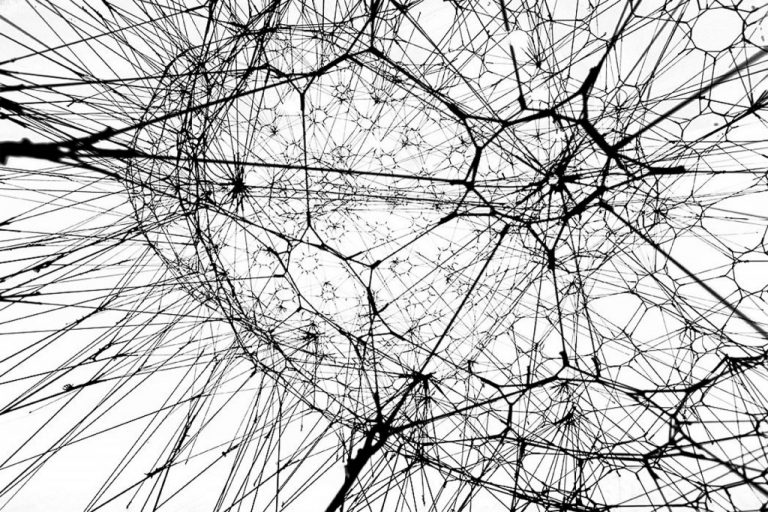 Galaxies Forming along Filaments, like Droplets along the Strands of a Spider’s Web