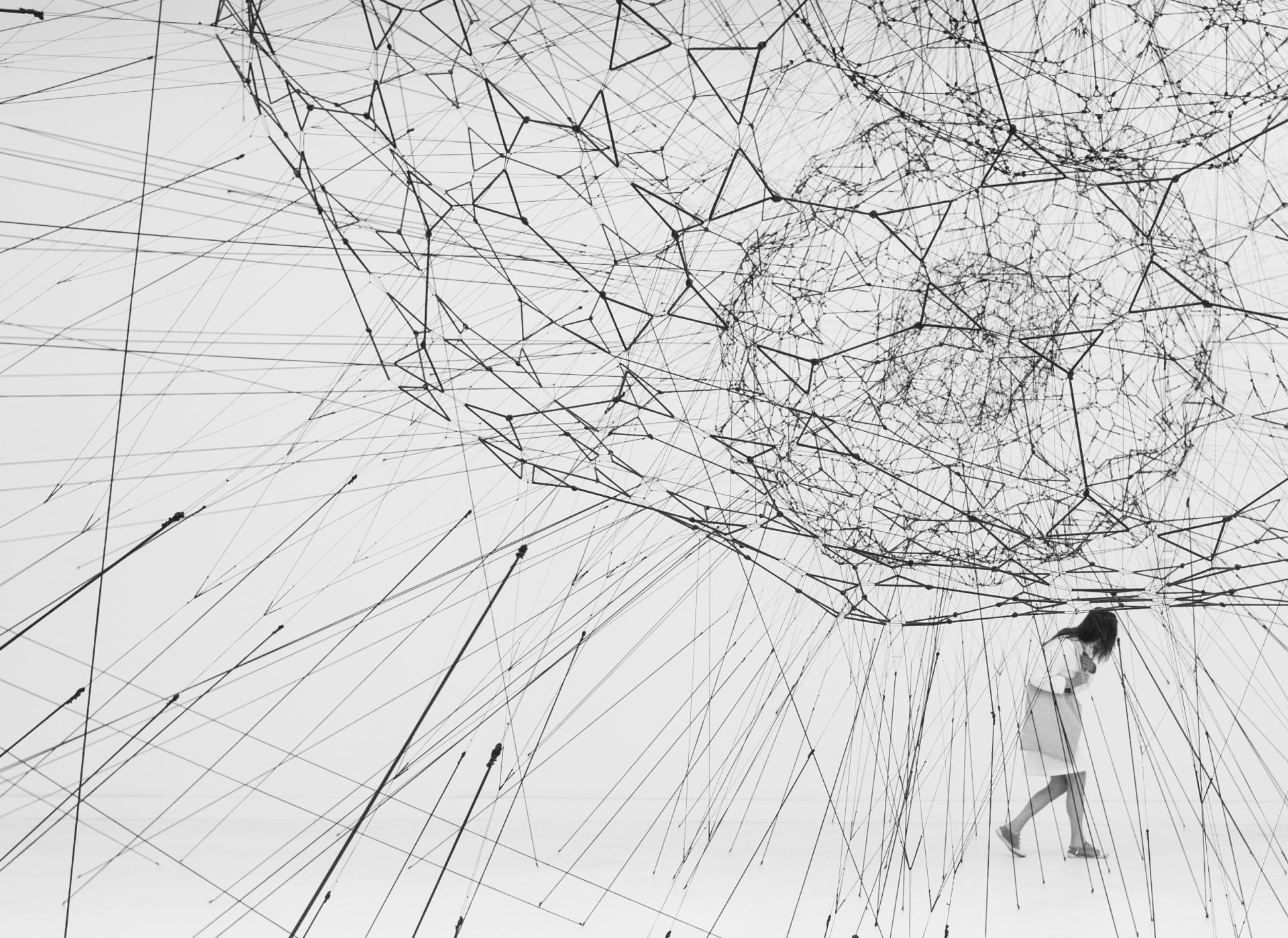 Galaxies Forming along Filaments, like Droplets along the Strands of a Spider’s Web