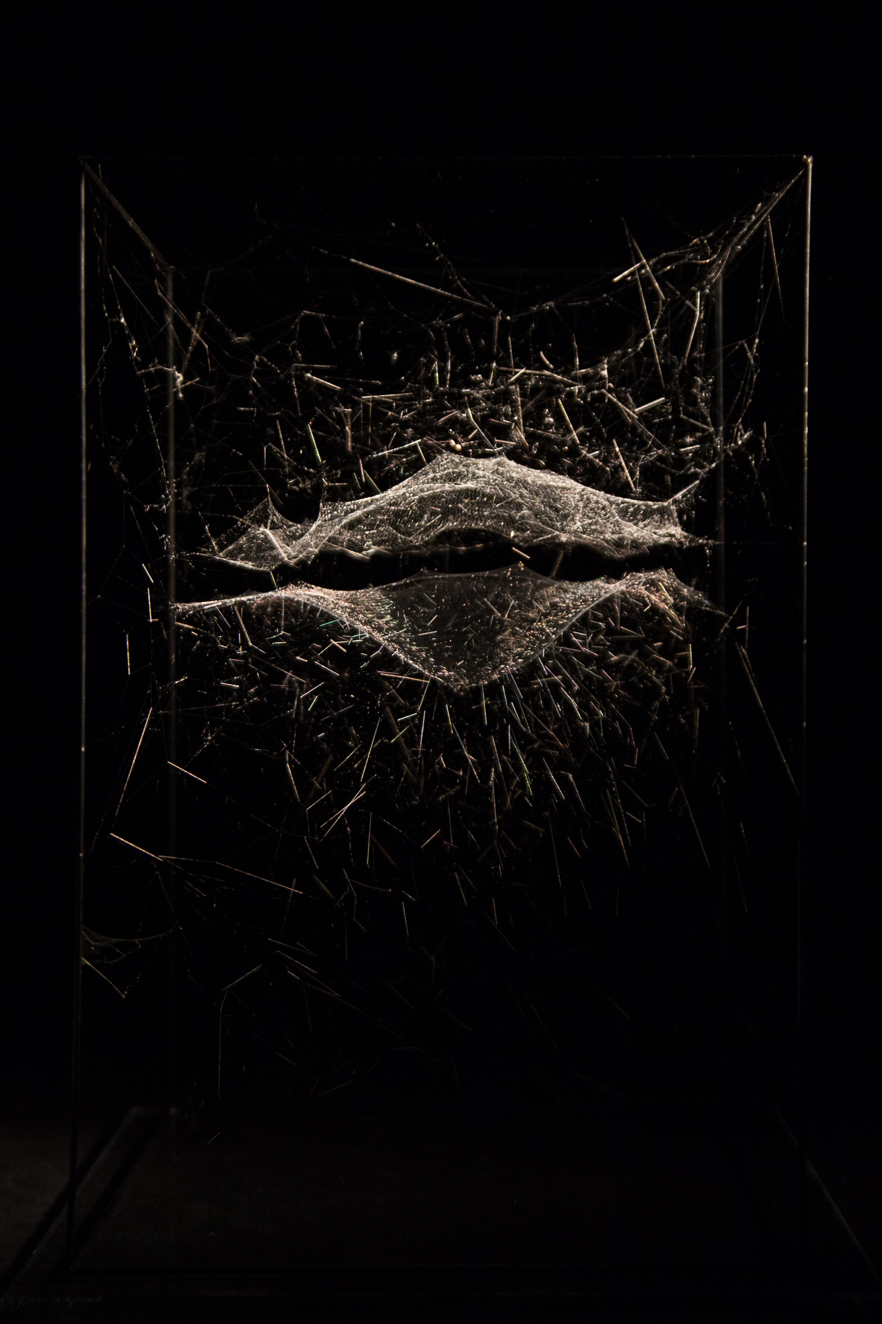Photography by Studio Tomás Saraceno, © 2014