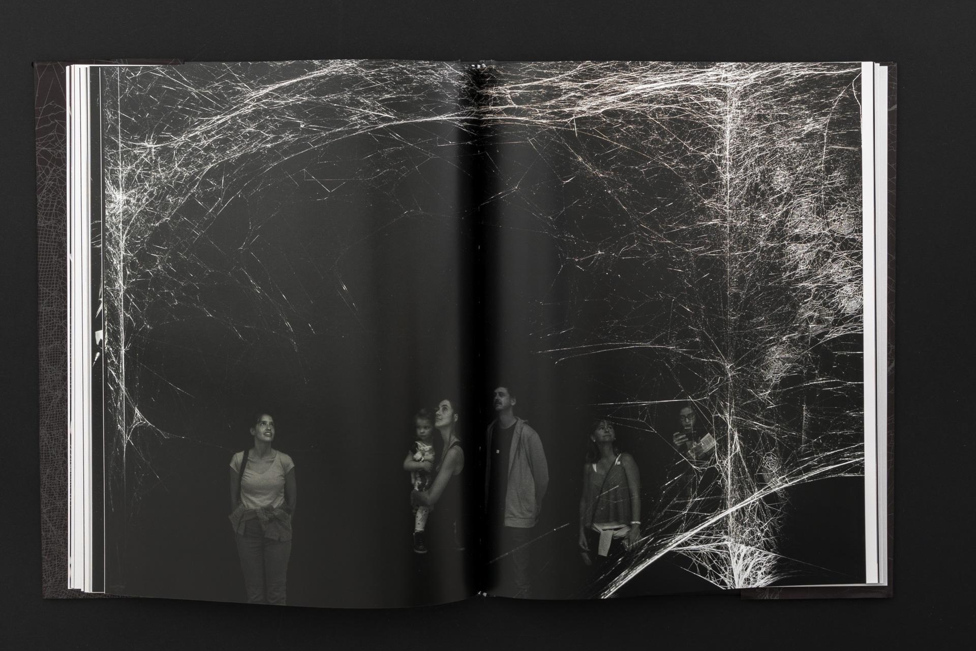 How to Entangle the Universe in a Spider Web