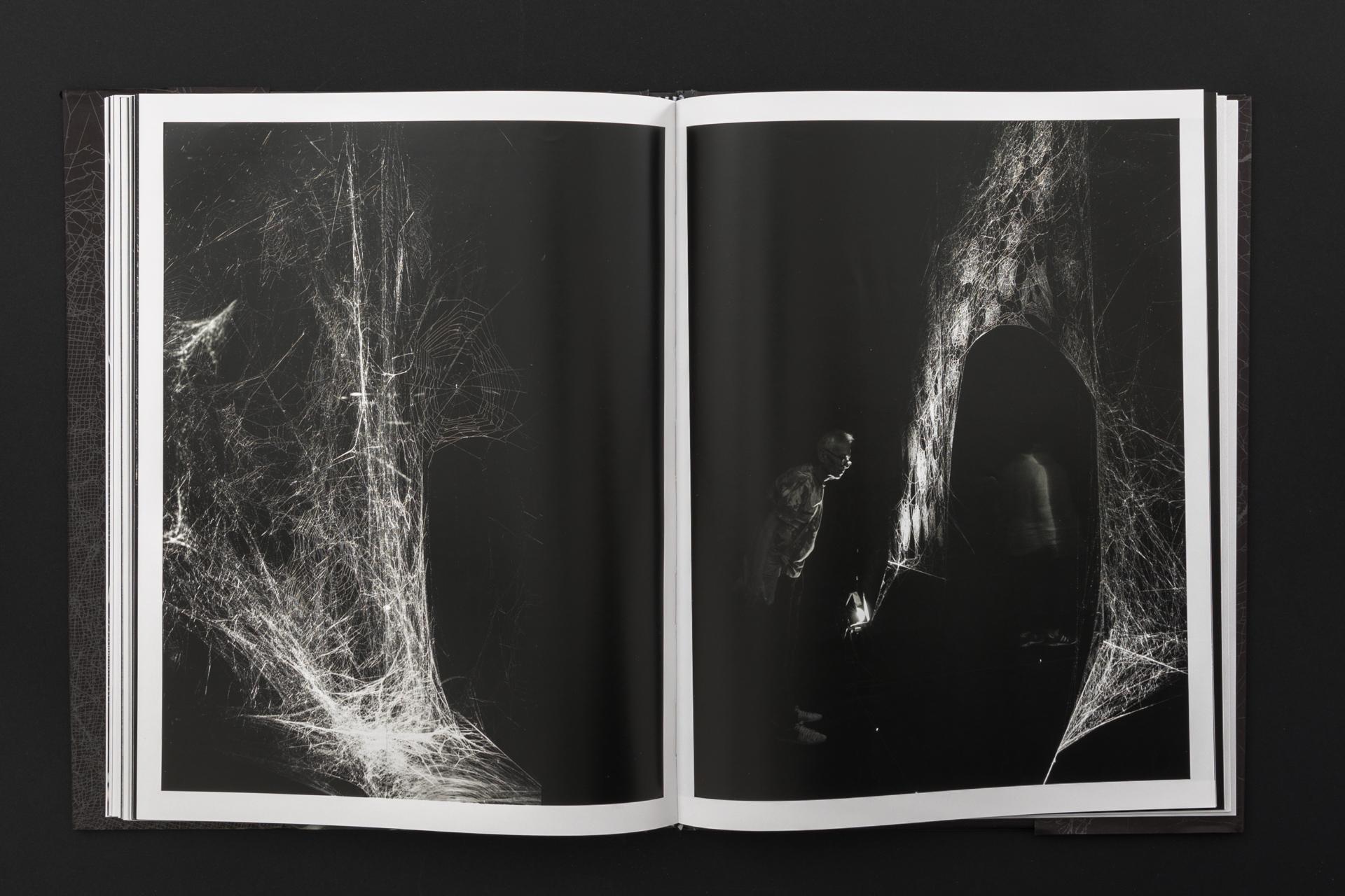 How to Entangle the Universe in a Spider Web