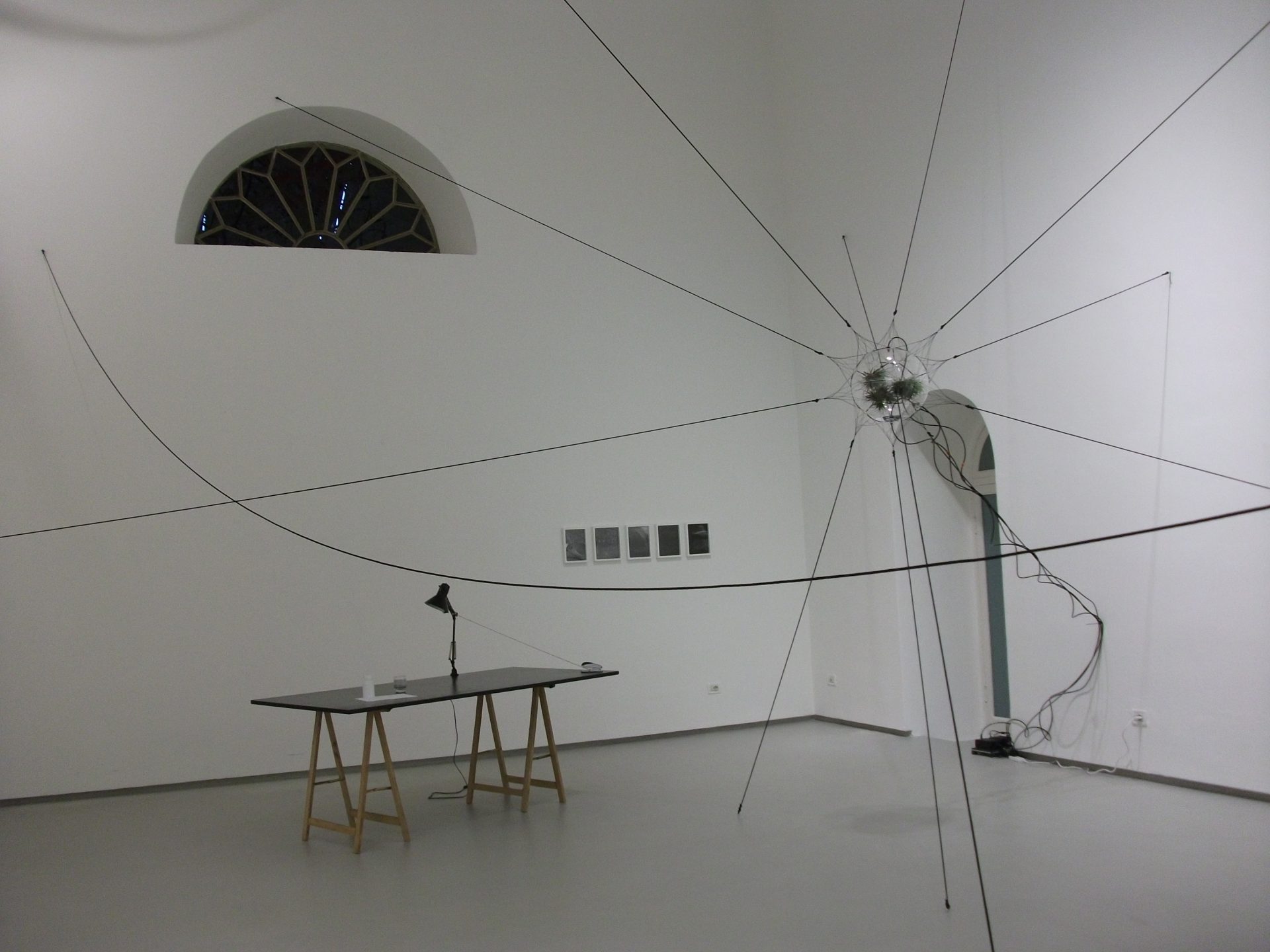 From Camogli to San Felipe, spiders weaving stars…