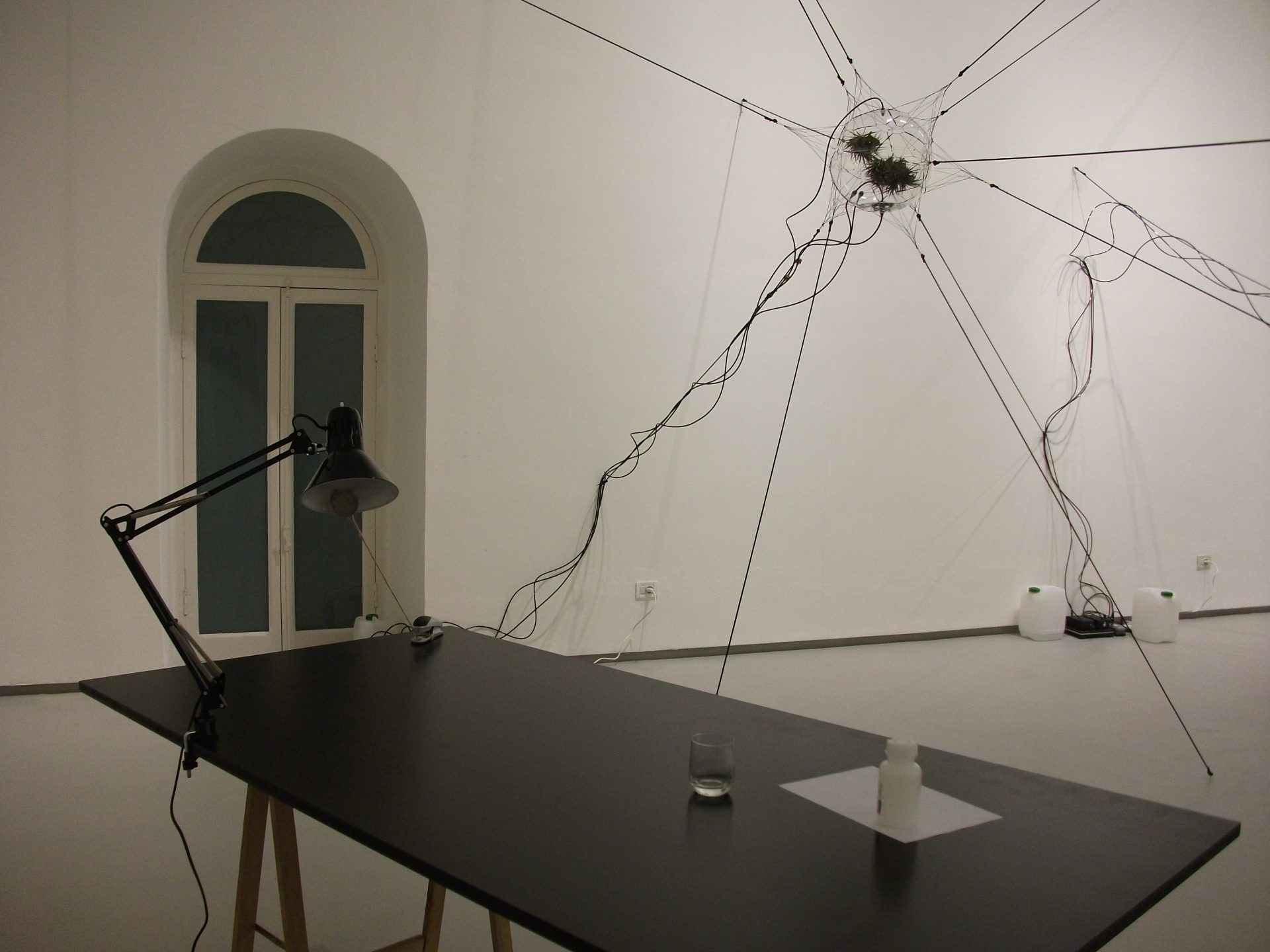 From Camogli to San Felipe, spiders weaving stars…